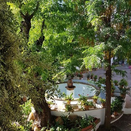 セビリアPatio Andaluz Siglo XVIアパートメント エクステリア 写真
