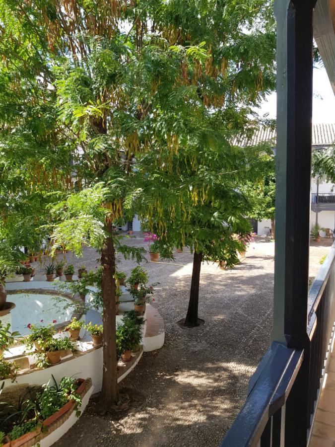 セビリアPatio Andaluz Siglo XVIアパートメント エクステリア 写真