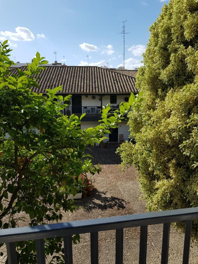 セビリアPatio Andaluz Siglo XVIアパートメント エクステリア 写真