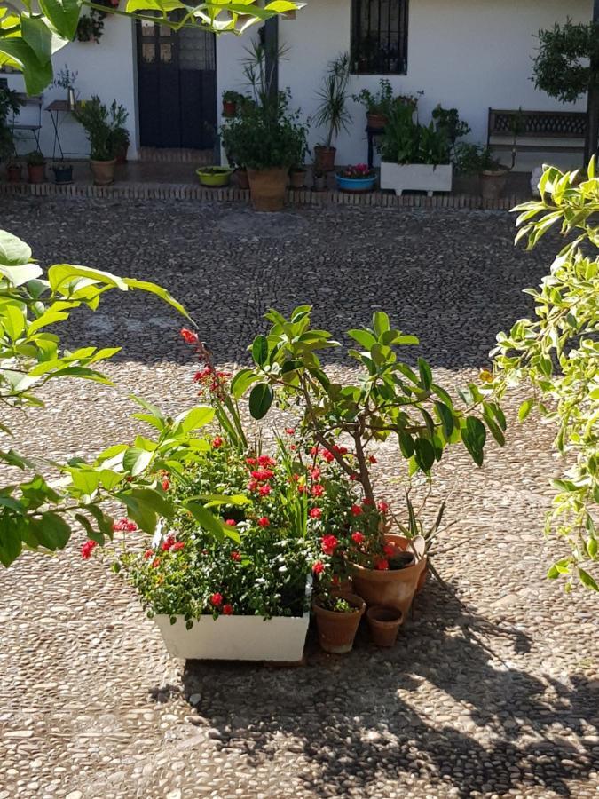 セビリアPatio Andaluz Siglo XVIアパートメント エクステリア 写真
