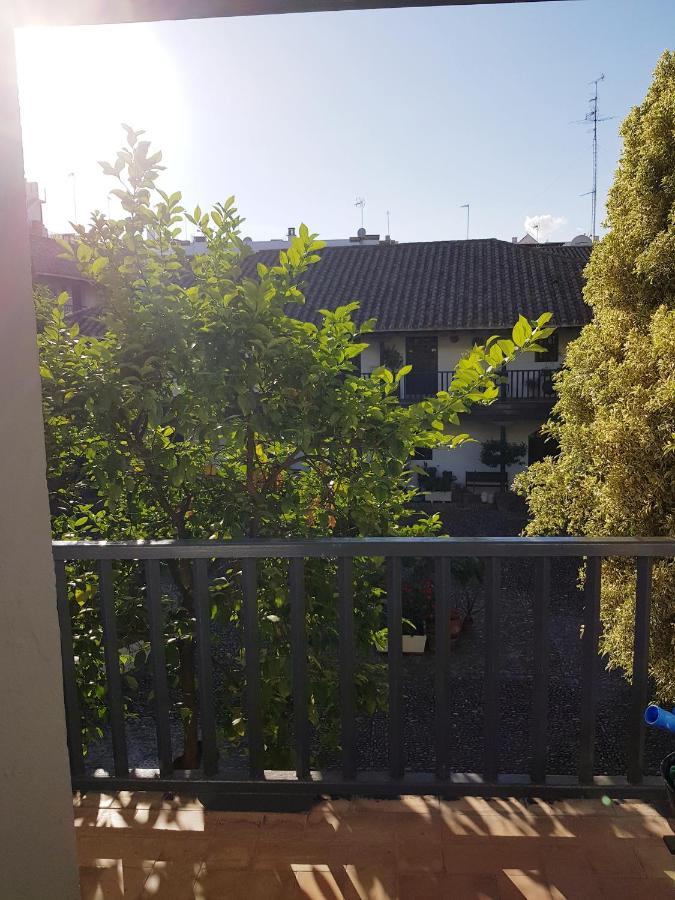 セビリアPatio Andaluz Siglo XVIアパートメント エクステリア 写真